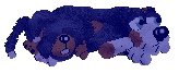 A dunkerstvare with her puppy